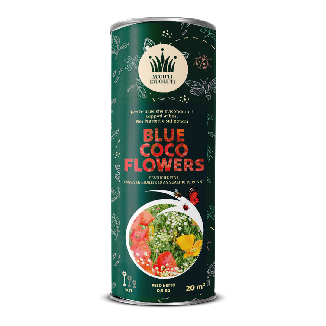 Sementi Tempoverde Blue Coco Flowers 0,5 Kg
