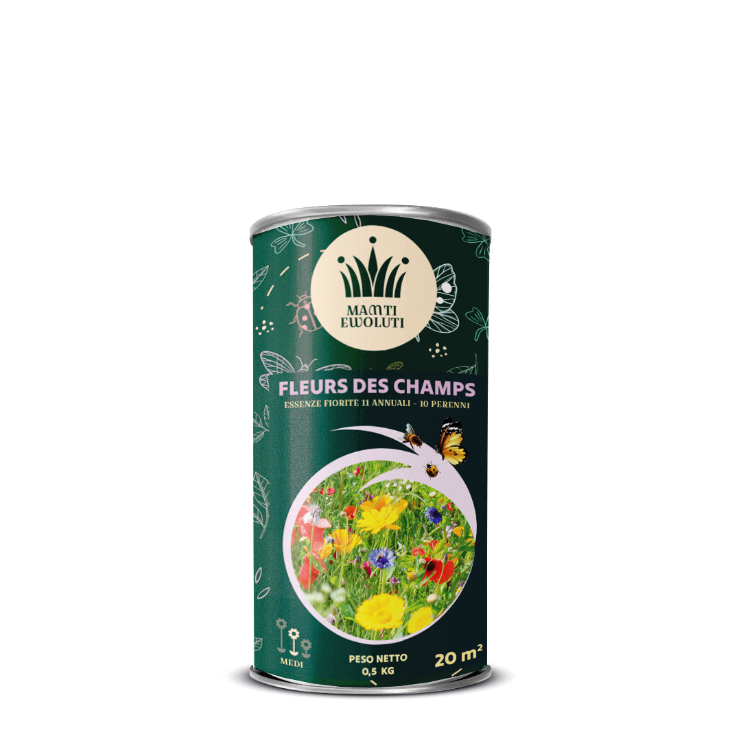 Sementi Tempoverde Fleurs Des Champs 0,5 Kg