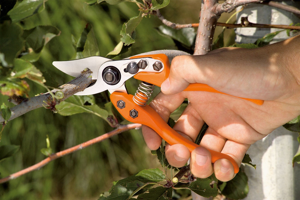 Forbice Bypass Lowe 12104 Modello con Bullone Autolubrificante e Leggera