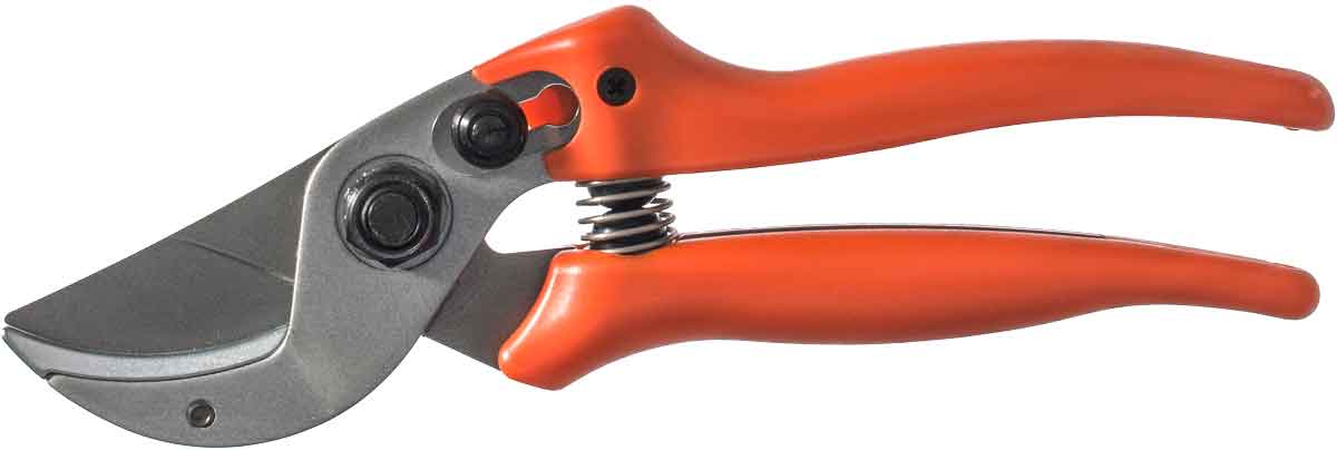 LÖWE 15 Forbice da caccia EASY CLEAN Stocker Art.15114