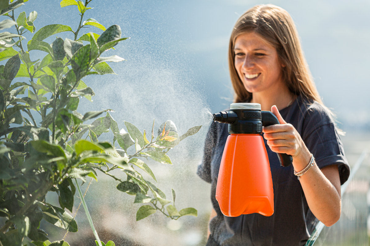 Thalia Pompa Elettrica 2 L Li-lon Stocker Art. 2621