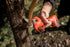 Forbice Vulcano E-30 TP Stocker Art. 311
