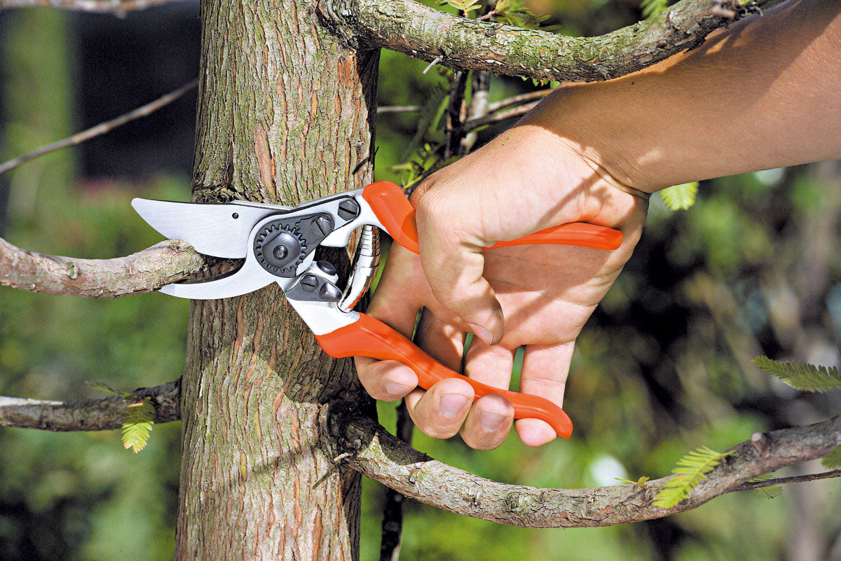 Forbice Profi Bypass 22 Stocker Art. 343