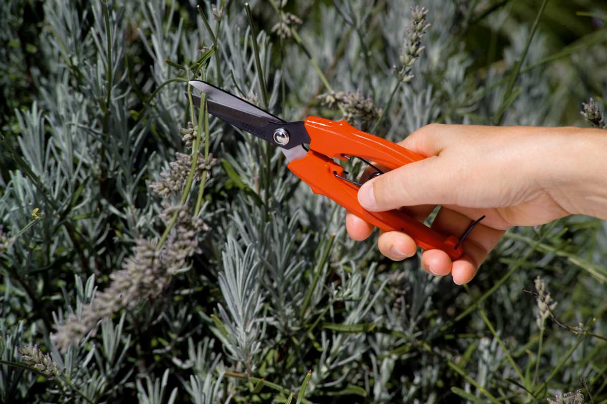 Forbice Milleusi SNAP Stocker Art. 347