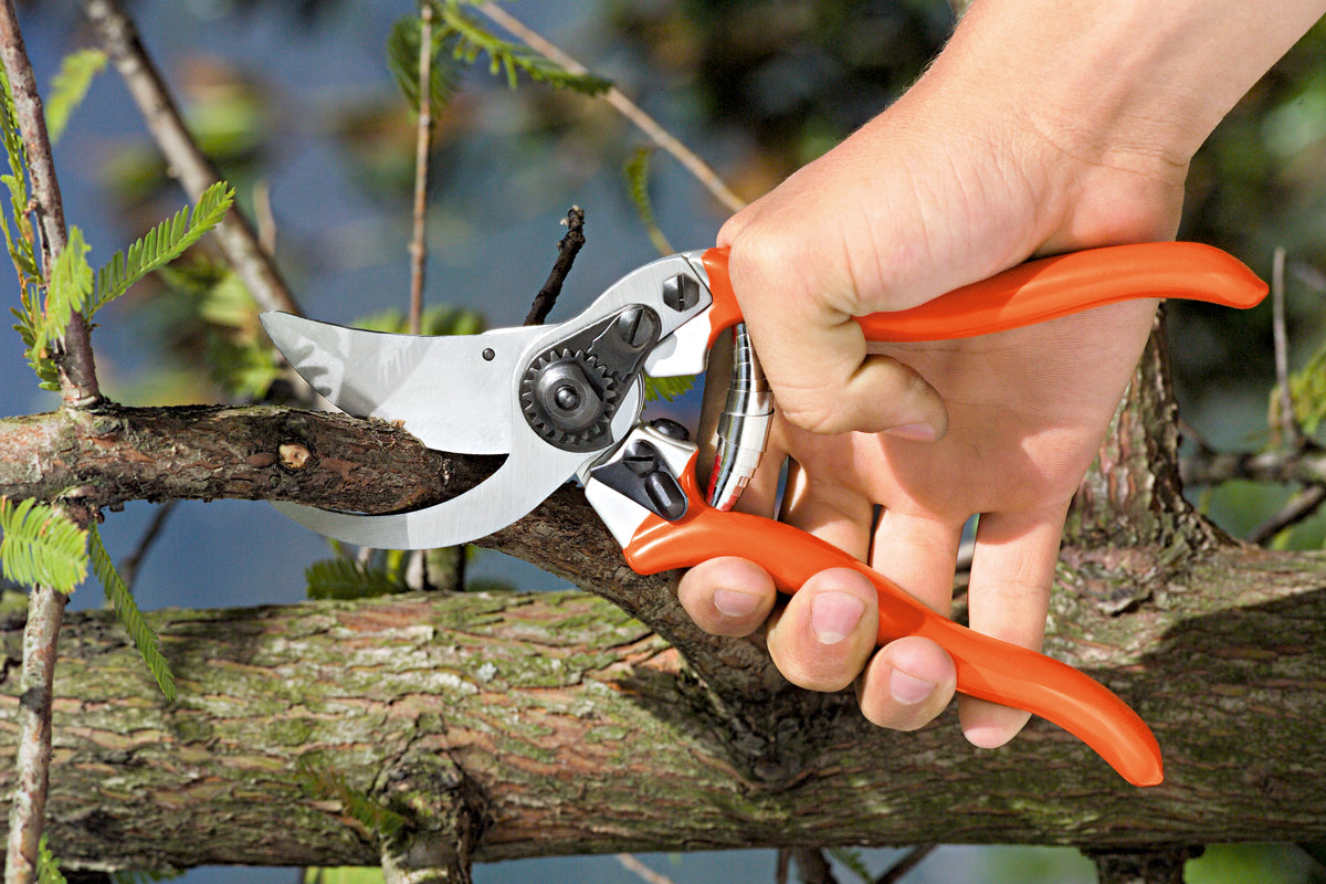 Forbice Profi Bypass 20 Stocker Art. 350