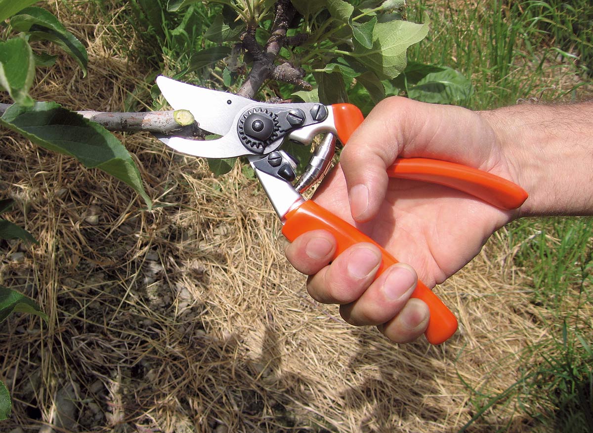 Forbice Profi Bypass 22 Stocker Art. 368