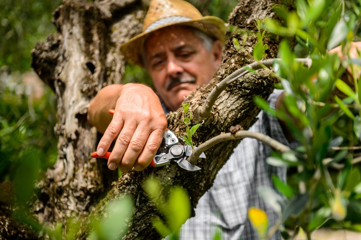 Forbice Ergo Light 21 Stocker Art. 376