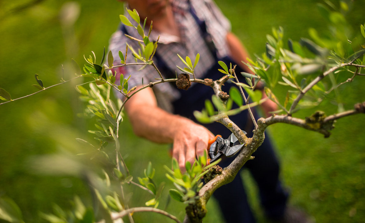 Forbice Ergo Light 21 Stocker Art. 378