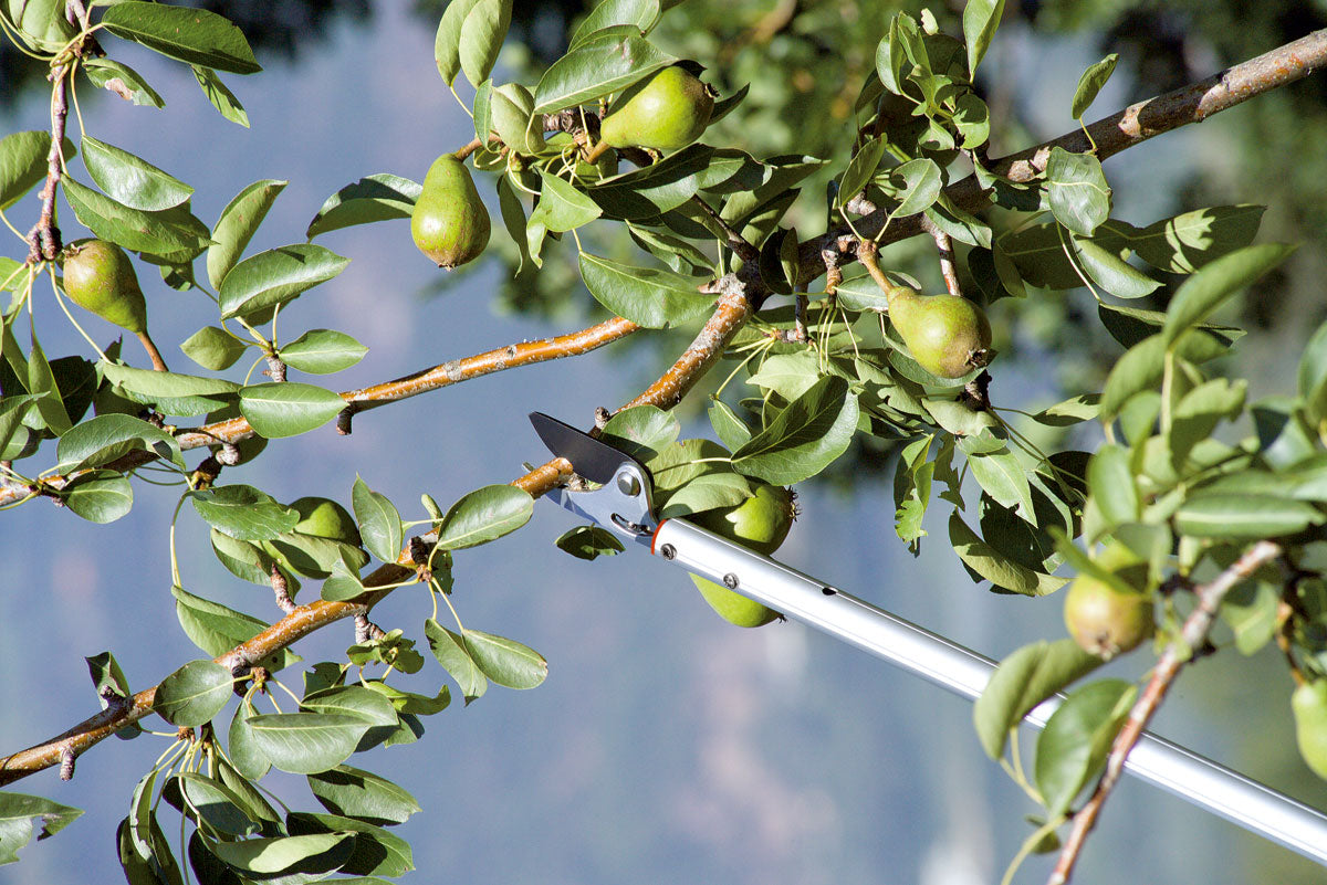 Forbice ad Asta Lunga Bypass da 180 cm Stocker Art. 504