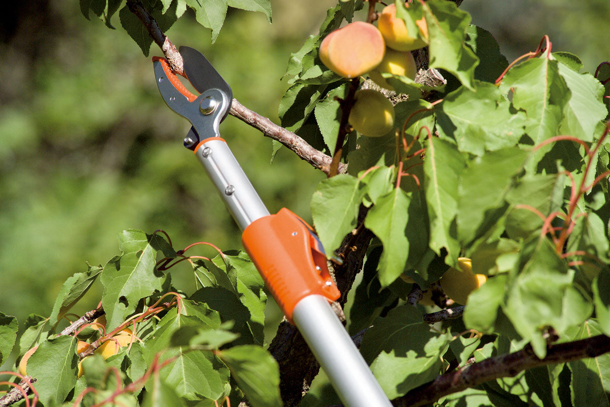 Forbice Telescopica Amboss Stocker Art. 510