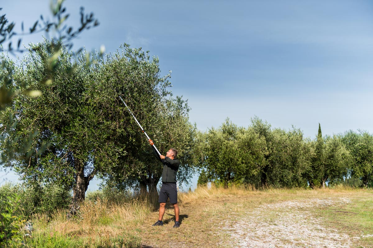 Forbice ad Asta Lunga Telescopica Stocker Art. 606