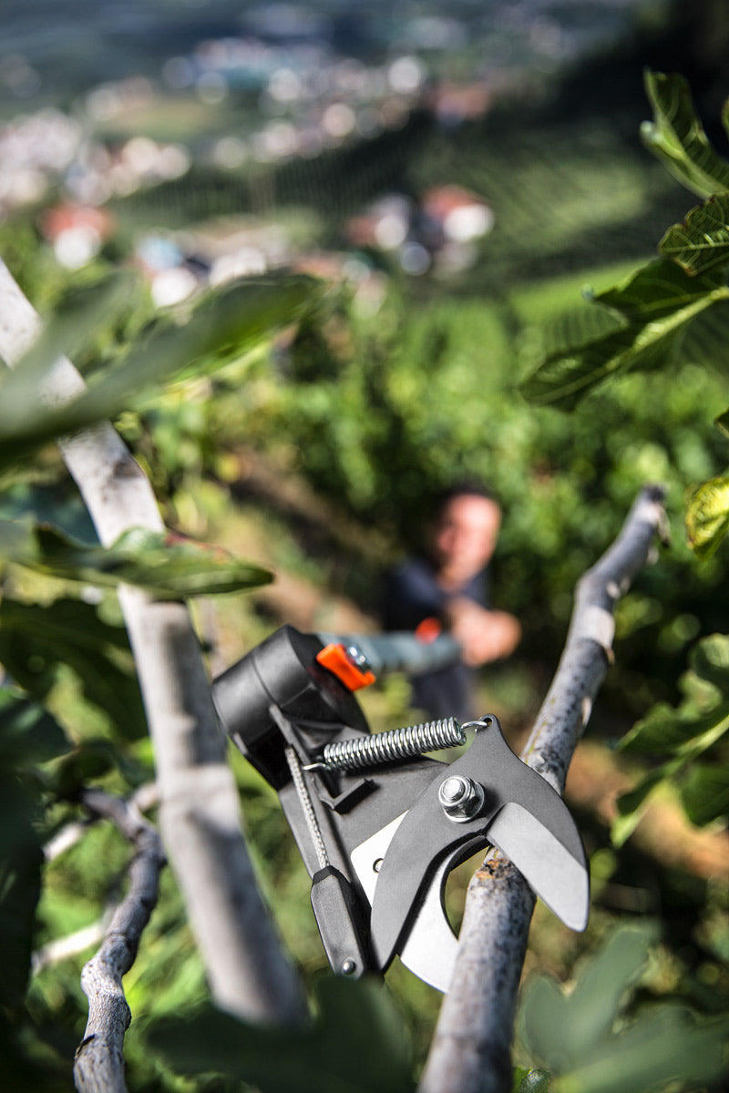 Forbice ad Asta Lunga Telescopica Stocker Art. 607