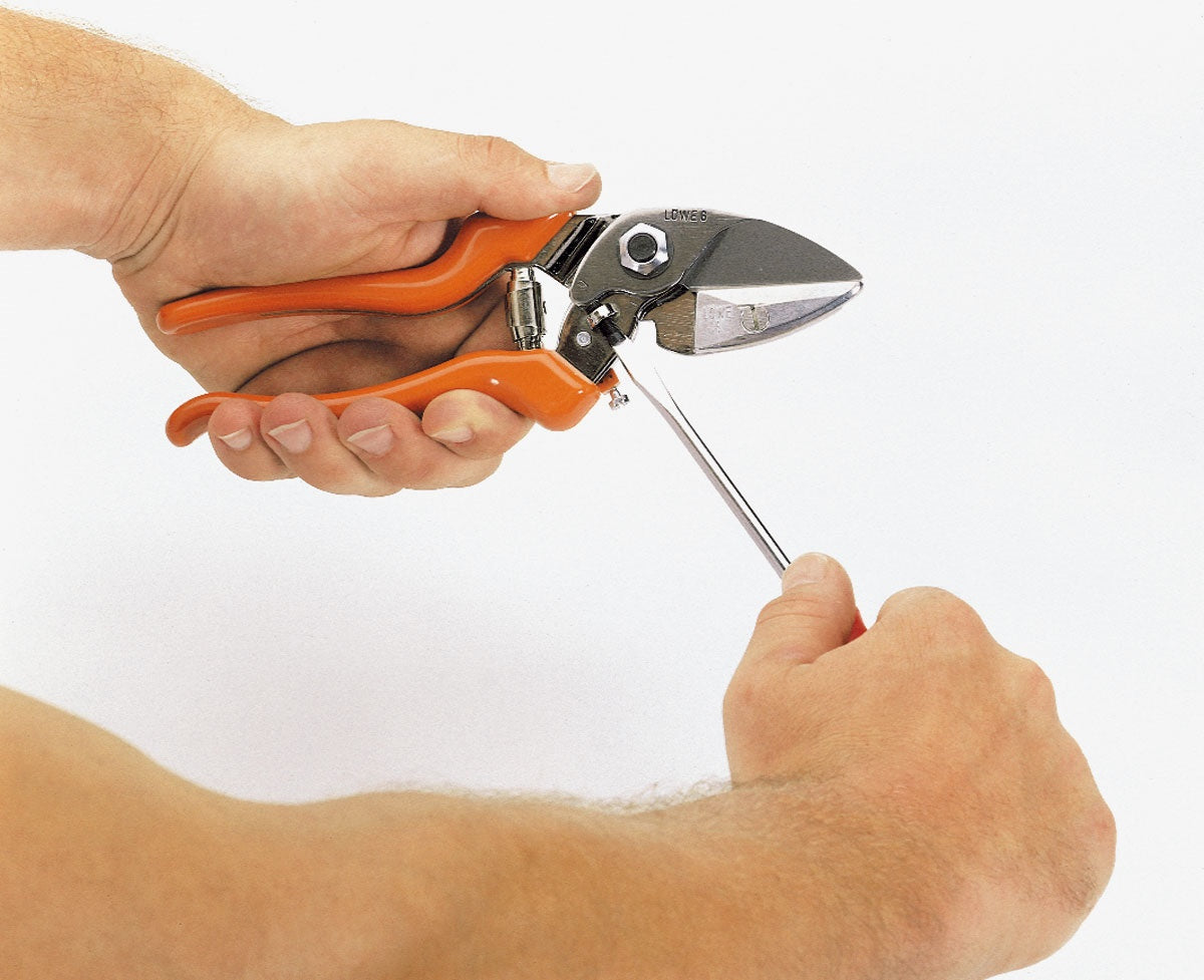 Forbice Amboss Lowe 6104 Modello con Taglio a Battente con Manici Regolabili e Lama
