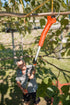 Forbice Kantia E-22 TR ad Asta Telescopica Stocker Art. 611