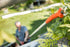 Forbice Kantia E-22 TR ad Asta Telescopica Stocker Art. 611