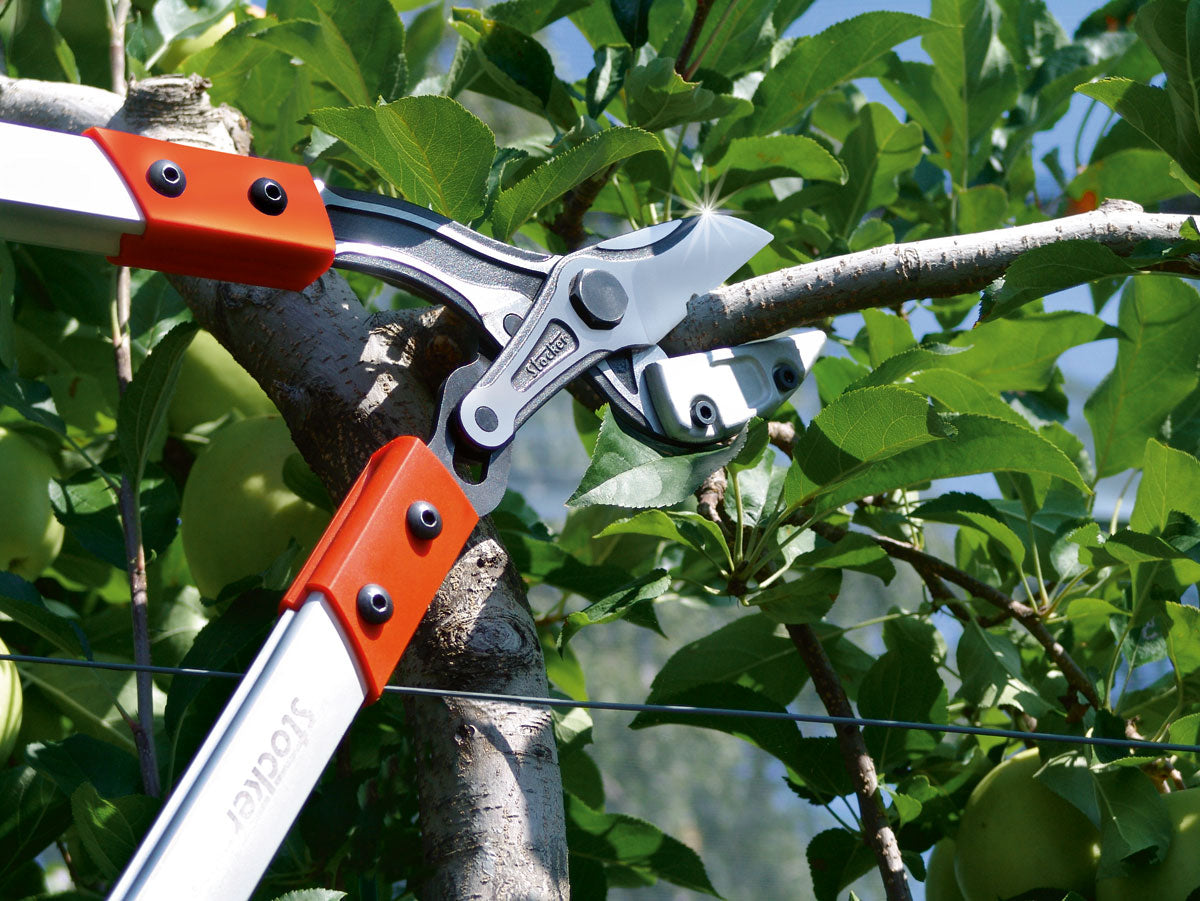 Troncarami Profi Amboss da 80 cm Stocker Art. 72080