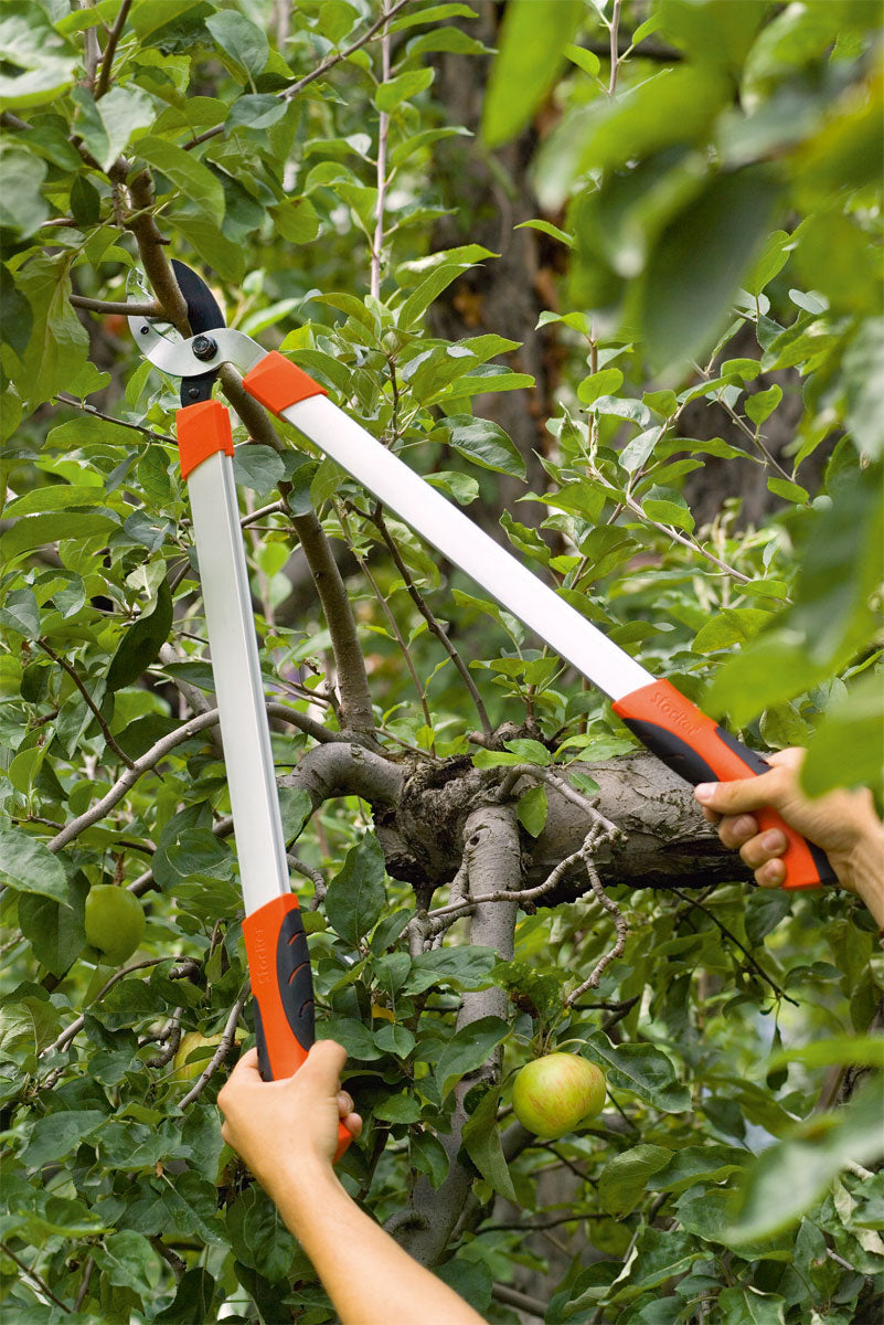 Troncarami Hobby 66 Amboss Stocker Art. 7230