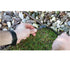 Stocker Raccordo a 135° Ø 6 mm per Geyser (5 pezzi)