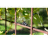 Ugelli Anti-Gocciolamento Sfusi 6 mm per Geyser