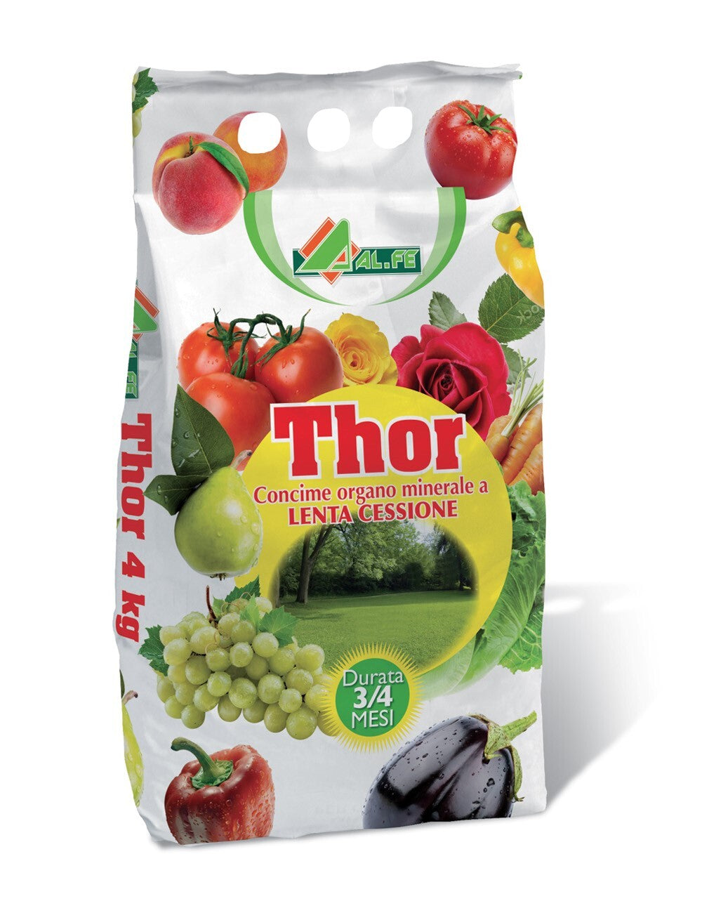 THOR Concime Organo Minerale 25 Kg NPK (MgO) (SO3) 10-6-14-(2-18) con Boro (B) Ferro (Fe) e Zinco (Zn) a Lenta Cessione Cod. 1A00THORP06