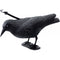 Corvo Spaventapasseri Stocker Art. 4539