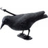 Corvo Spaventapasseri Stocker Art. 4539