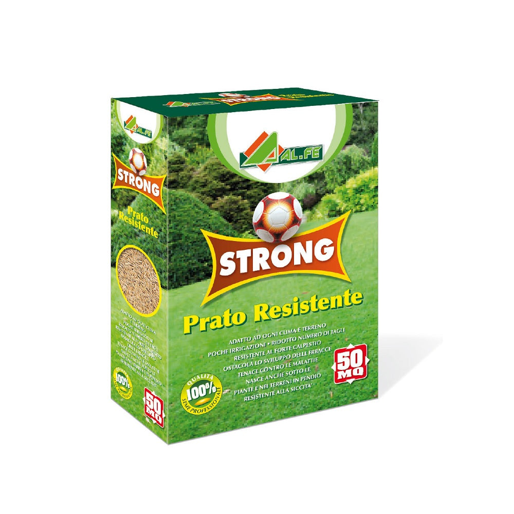 STRONG 1 Kg Prato Resistente Cod. 1S07STROC02