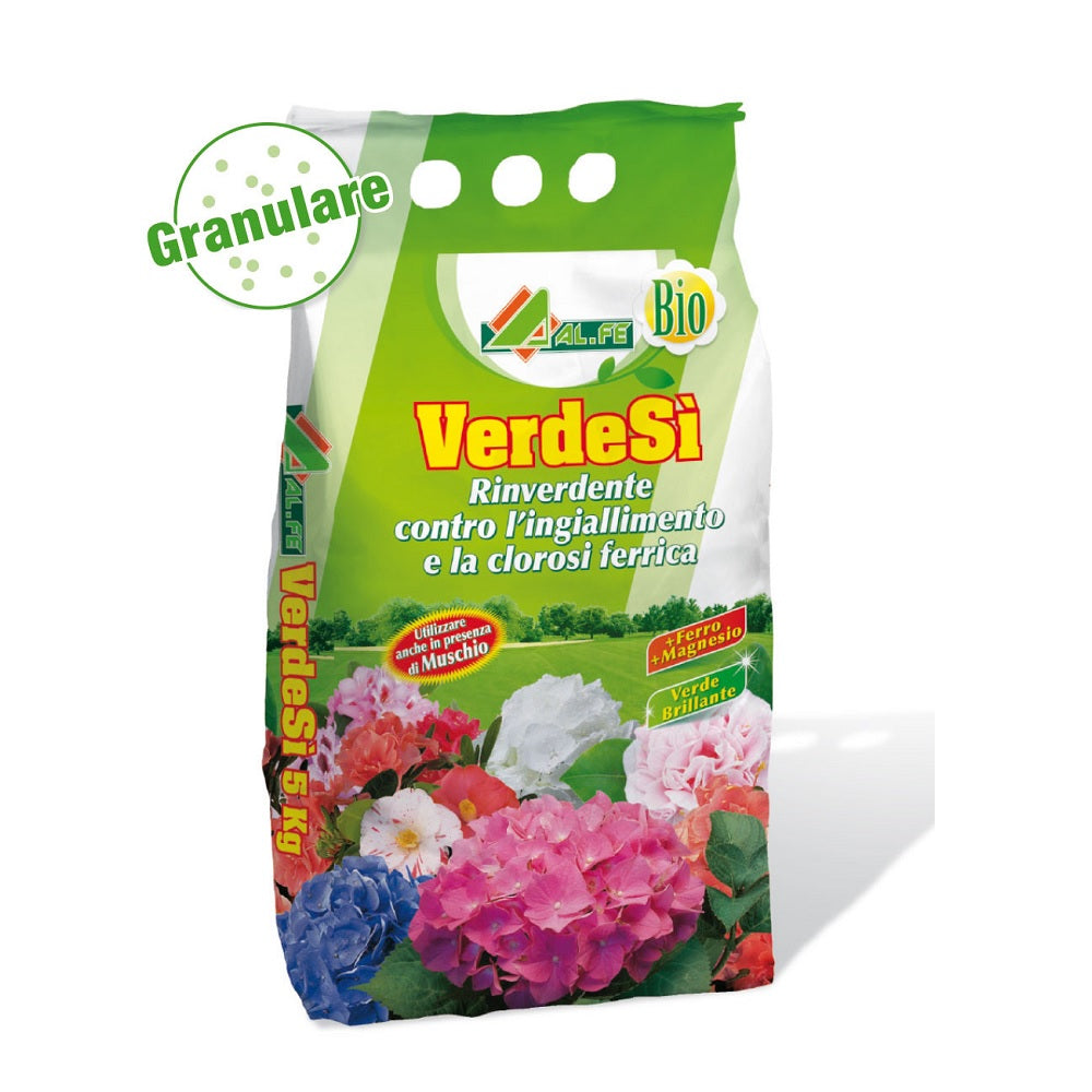 VERDESÌ 5 Kg Miscela di Microelementi: Ferro (Fe), Manganese (Mn) e Magnesio (Mg) Granulare Cod. 1A00SFEGC01
